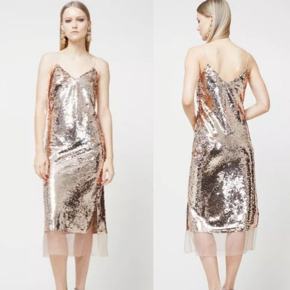 Sachin + Babi Dresses & Skirts - Sachin & Babi | Dolly Gold Sequin Organza Slip Dress NWT